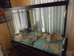 New 150 Setup 004.JPG