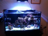FishTank.jpg FishTank.jpg