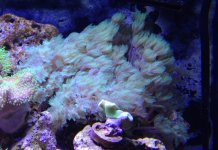 IMG_3531.JPG