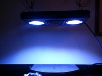 Radion Lights.jpg Radion Lights.jpg