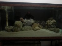 front view of tank.jpg