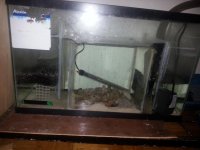 sump.jpg