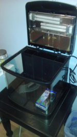 2013-08-07 21.59.50.jpg