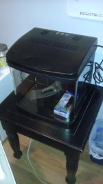 2013-08-07 21.58.11.jpg