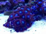th_IMG_0591_zps95ef0256.jpg