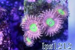 IMG_4185.JPG