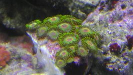 IMAG1309.jpg