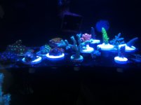 photo 2.JPG
