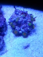20130919_194149-1.jpg