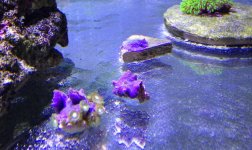 IMG_9042.jpg