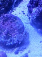 20130919_194556-1.jpg
