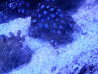 20130919_194703-1.jpg