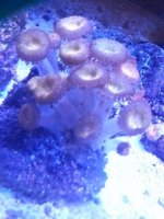 20130919_194945-1.jpg