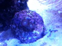 20130919_195505-3.jpg