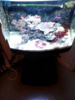 20131030_175329.jpg