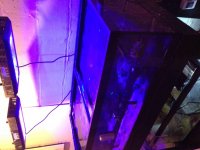 ImageUploadedByReefs2014-02-25 23:02:04 EST.jpg