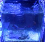 IMG_5475.JPG