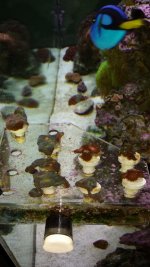 20130621_145515.jpg