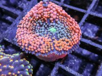 7.11.13-1-2.jpg