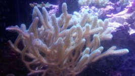 20131214_214656.jpg