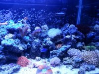 20130307_165752.jpg