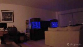 ImageUploadedByReefs2014-02-26 20:36:31 EST.jpg