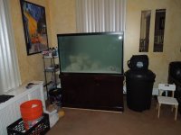 New Tank Setup 016.JPG
