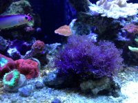 IMG_5191.JPG