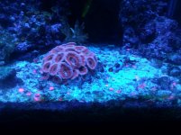 IMG_20130509_011043.jpg