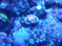 IMG_20130509_011134.jpg