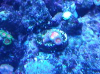 IMG_20130509_011141.jpg