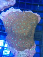 IMG_20130921_215822.jpg