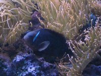 IMG_5020.jpg