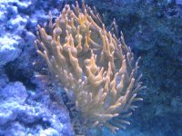 IMG_4962.jpg