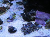 IMG_0667.jpg