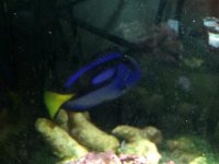 IMG_0452.jpg
