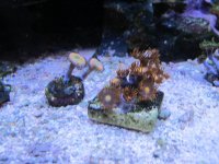 IMG_0671.jpg