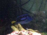 IMG_0453.jpg