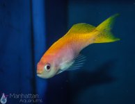 IMG_6638.jpg