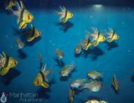 IMG_6640.jpg