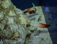 IMG_6642.jpg