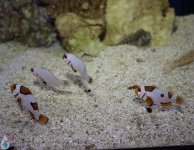 IMG_6654.jpg