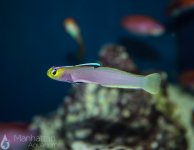 IMG_6656.jpg
