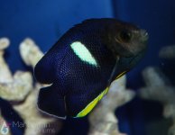IMG_6671.jpg