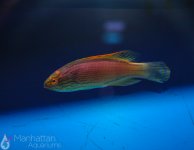 IMG_6674.jpg