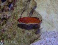 IMG_6688.jpg