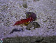IMG_6691.jpg
