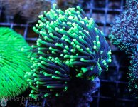 IMG_6578.JPG