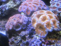 IMG_1767.jpg
