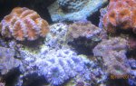 IMG_1768.jpg